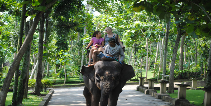Bali Elephant Ride and Ubud Tour